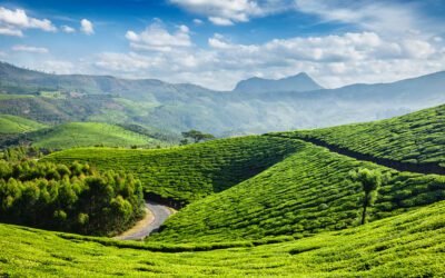 Karnataka Tour Package for 6 Nights/ 7Days