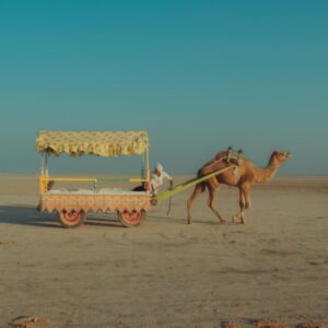KUTCH PACKAGE (EX–AHMEDABAD) 2night/3days
