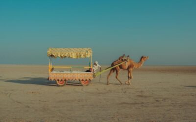 KUTCH PACKAGE (EX–AHMEDABAD) 2night/3days